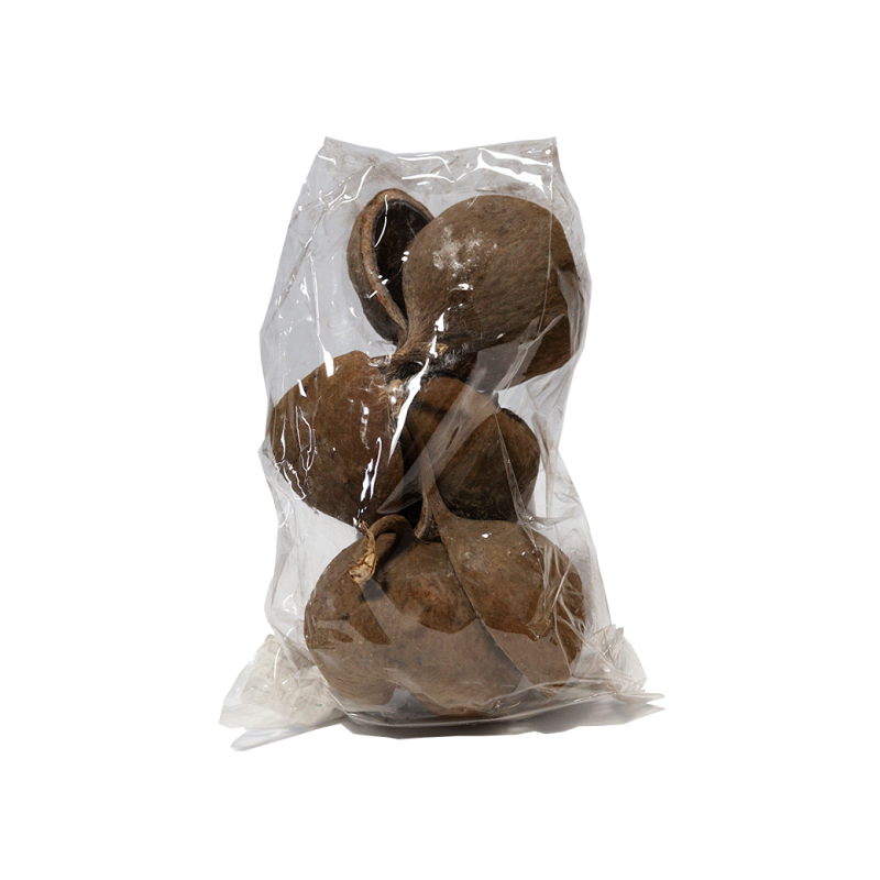 Budda nut 6 sztuk