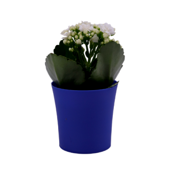 Granatowa matowa osłonka plastikowa FIOŁEK 8 cm