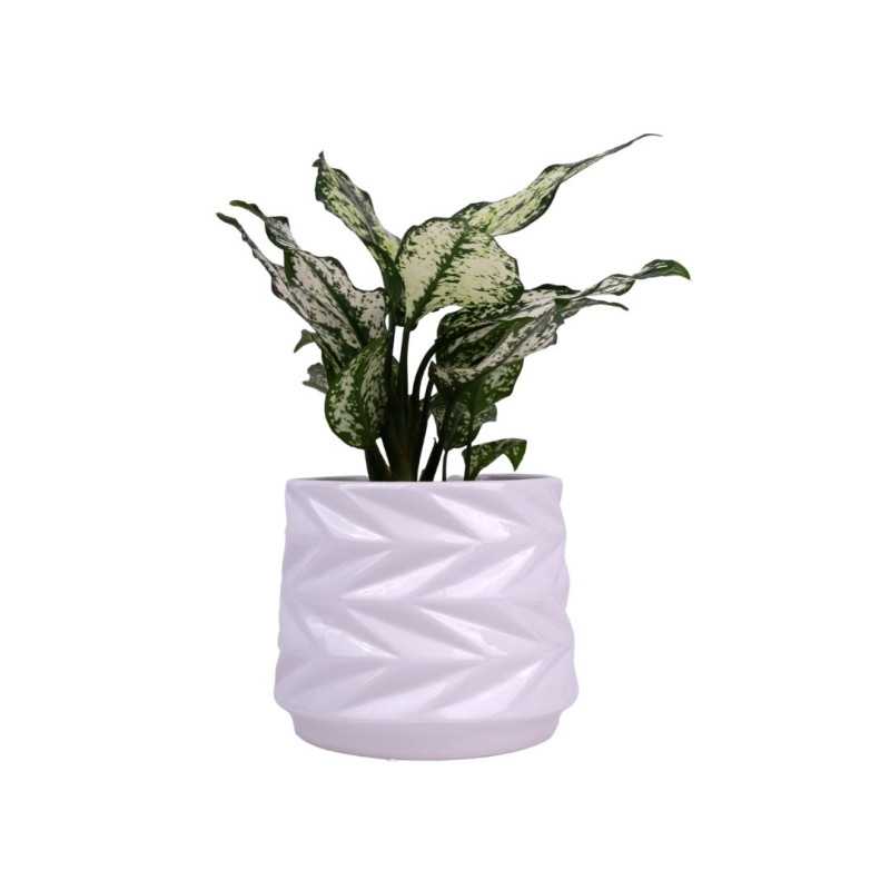 Donica - biała 05.185.15 - 13 cm