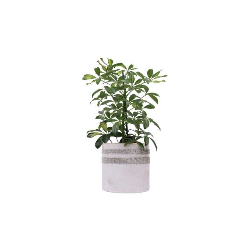 Osłonka ceramiczna 16.5 x 16 cm E71-28 