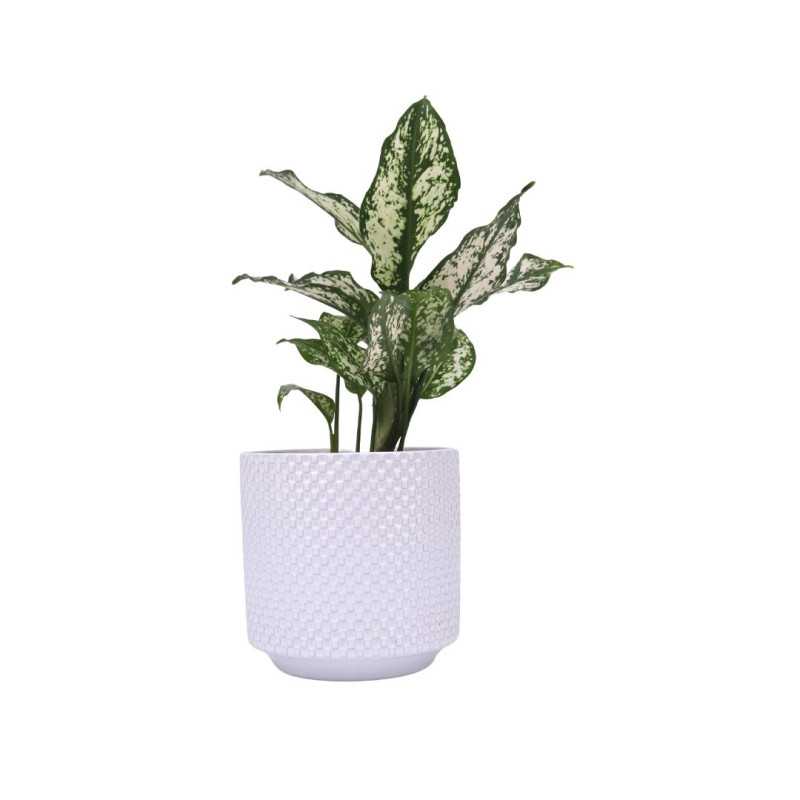 Ceramiczna osłona ozdobna - biały - 12.5 x 11.5 [cm]