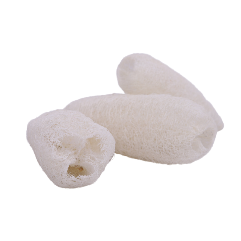 Luffa