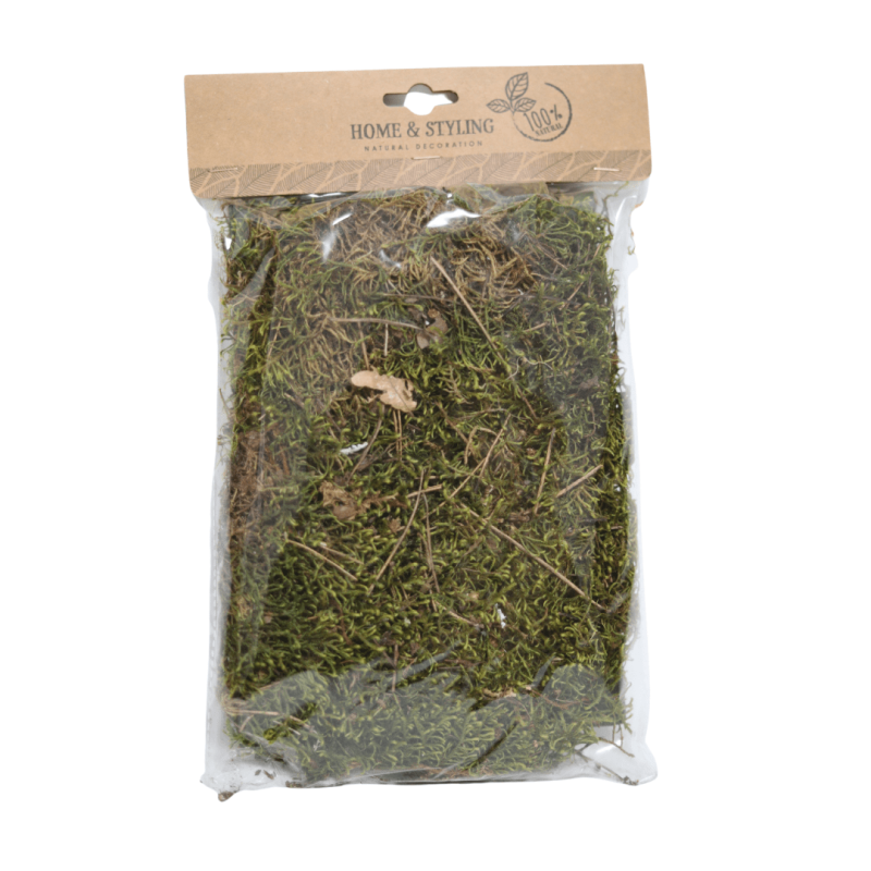 Mech chrobotek 100 g mix - zielony lub szary