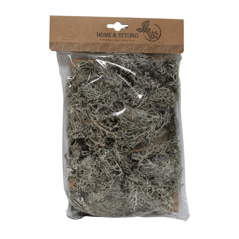 Mech chrobotek 100 g mix - zielony lub szary