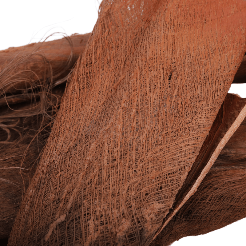 Palm skin 250 g