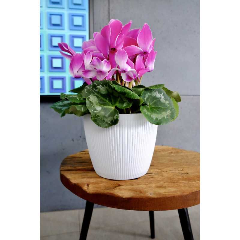Doniczka Magnolia Jumper 16 cm