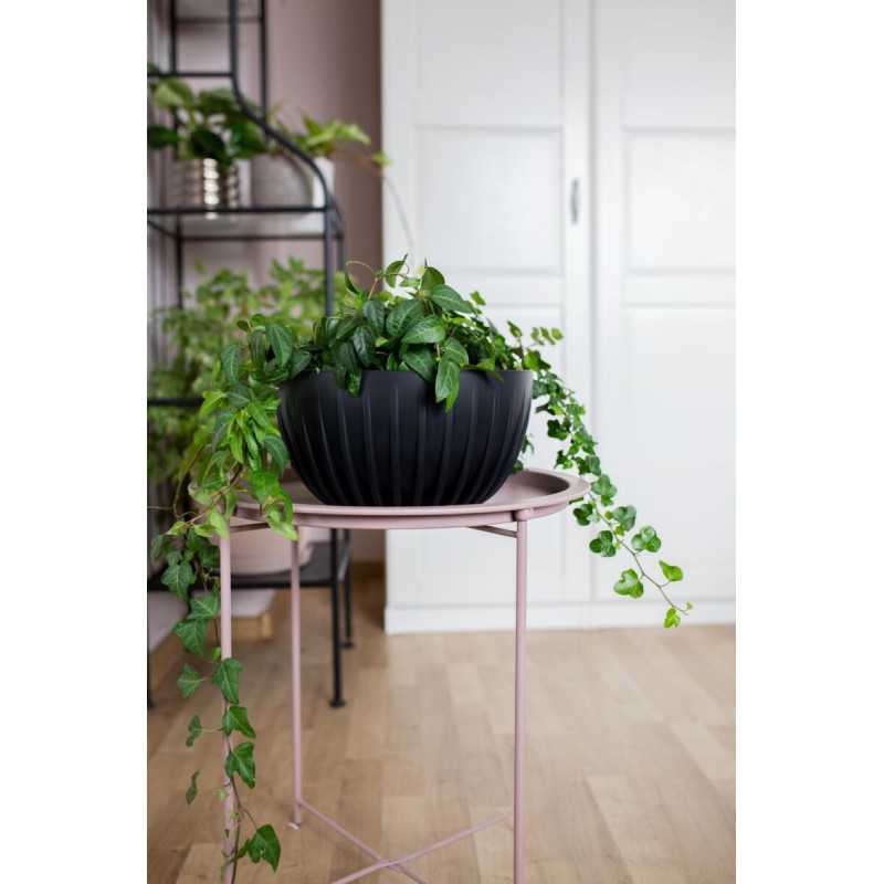 Misa MIRA 240 ECO wood