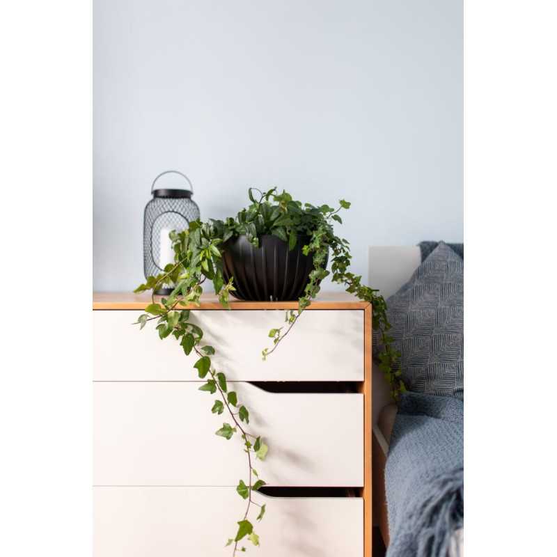 Misa MIRA 240 ECO wood