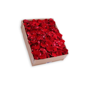 Czerwone płatki róż 7 L