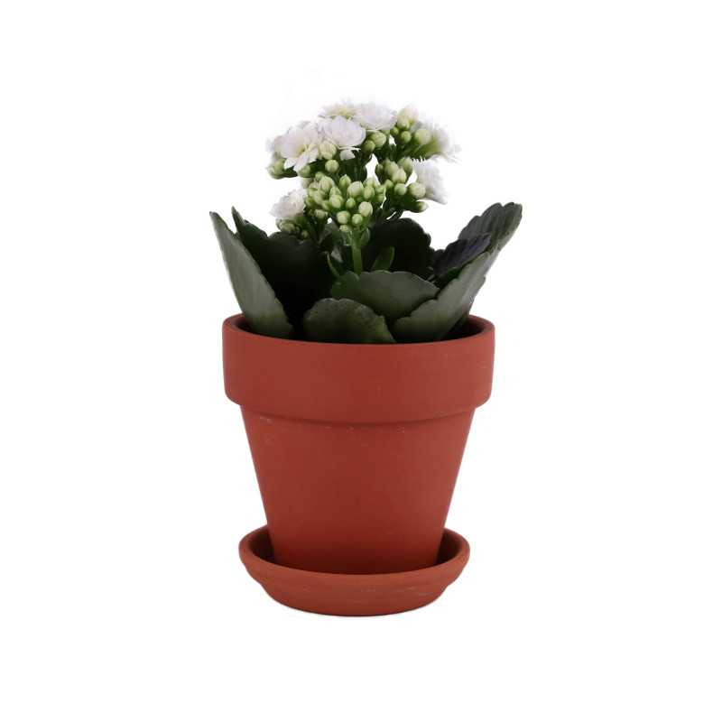 Podstawek 7 cm 
