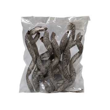 Palm cobra 10 sztuk