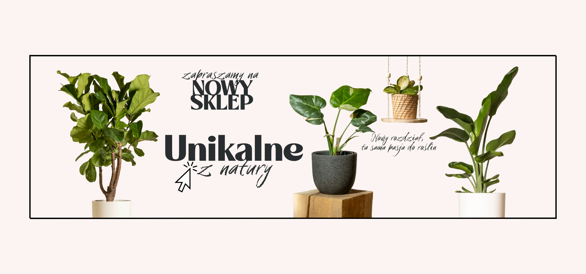 Rozashop – Nowy Sklep